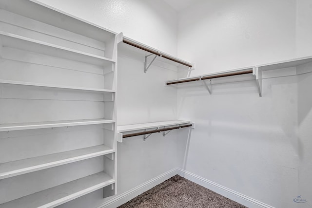 walk in closet with dark colored carpet