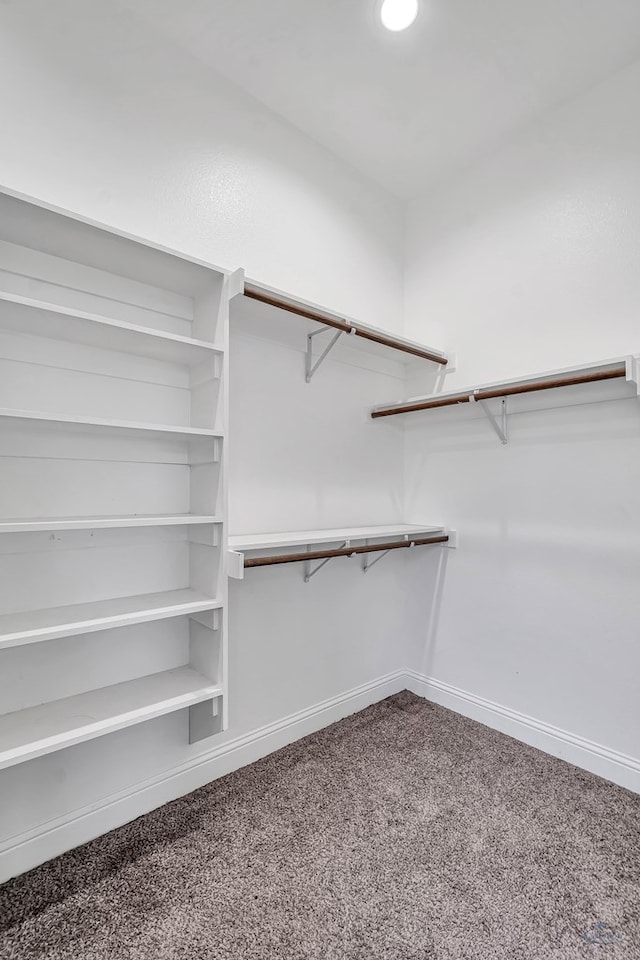 walk in closet featuring carpet floors