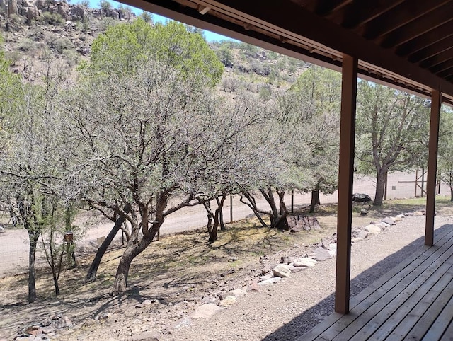 508 Squaw Valley Trl, Fort Davis, TX 79734 - view of deck