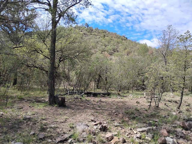 508 Squaw Valley Trl, Fort Davis, TX 79734 - view of wooded area