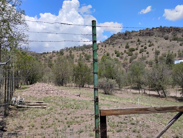508 Squaw Valley Trl, Fort Davis, TX 79734 - view of yard with a forest view