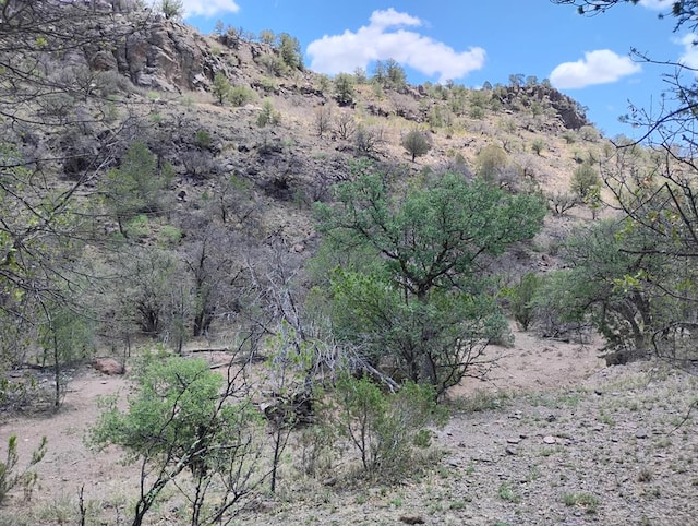 508 Squaw Valley Trl, Fort Davis, TX 79734 - mountain view