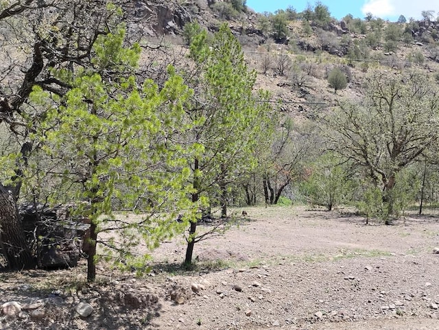 508 Squaw Valley Trl, Fort Davis, TX 79734 - view of local wilderness