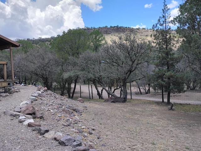 508 Squaw Valley Trl, Fort Davis, TX 79734 - view of yard