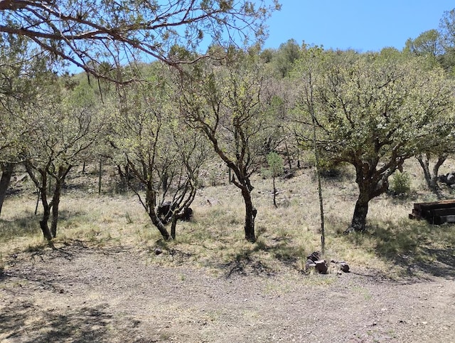 508 Squaw Valley Trl, Fort Davis, TX 79734 - view of local wilderness