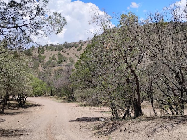 508 Squaw Valley Trl, Fort Davis, TX 79734 - view of dirt / gravel road with a view of trees