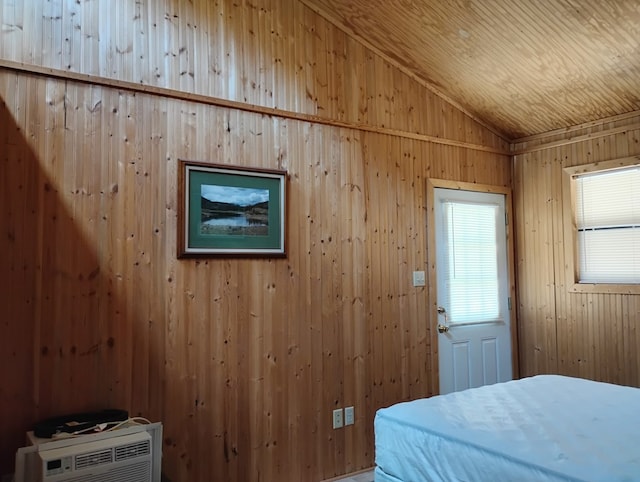 508 Squaw Valley Trl, Fort Davis, TX 79734 - bedroom with lofted ceiling and wooden walls