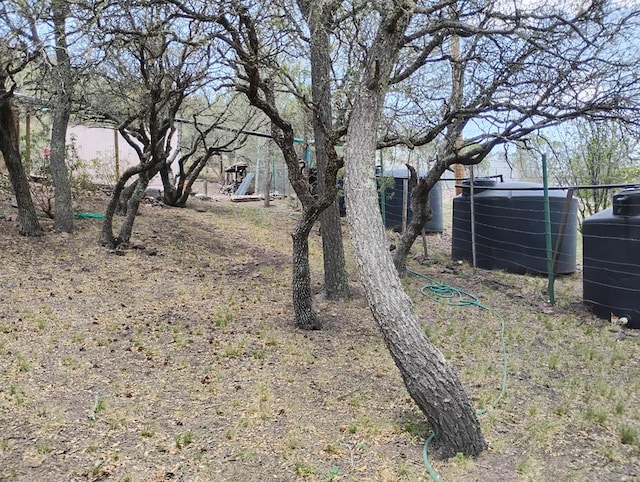 508 Squaw Valley Trl, Fort Davis, TX 79734 - view of yard