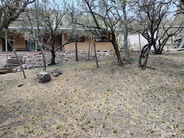 508 Squaw Valley Trl, Fort Davis, TX 79734 - view of yard