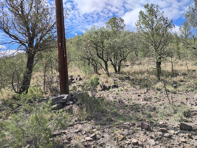 508 Squaw Valley Trl, Fort Davis, TX 79734 - view of local wilderness