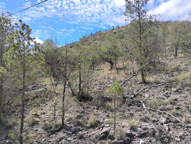 508 Squaw Valley Trl, Fort Davis, TX 79734 - view of mountain background