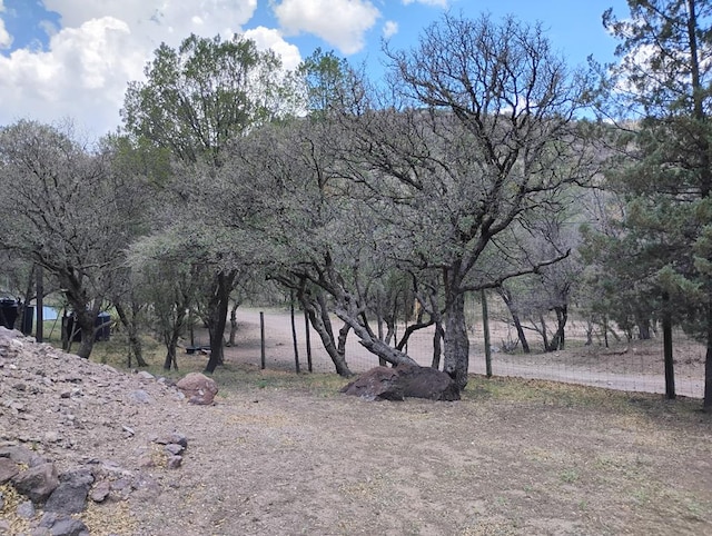 508 Squaw Valley Trl, Fort Davis, TX 79734 - view of yard