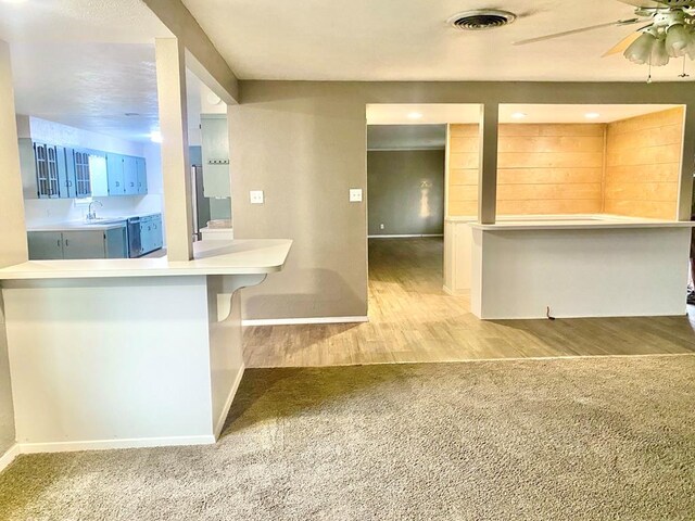 906 S Franklin Ave, Monahans, TX 79756 - kitchen featuring a sink, baseboards, carpet, and wood finished floors