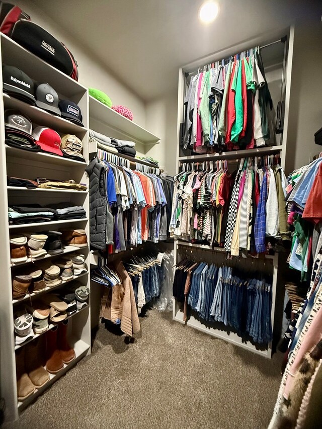 spacious closet featuring carpet