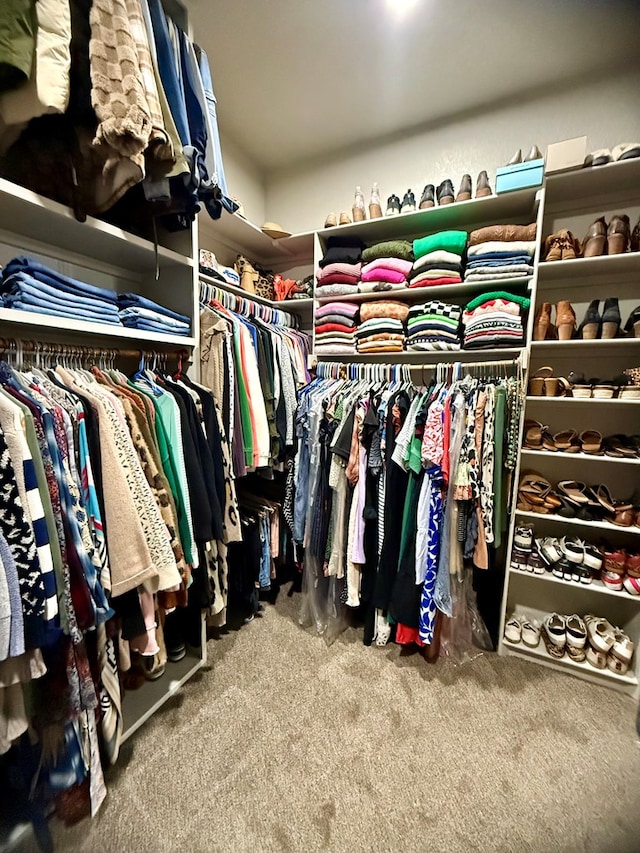 spacious closet featuring carpet