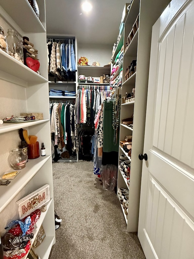 walk in closet featuring carpet flooring