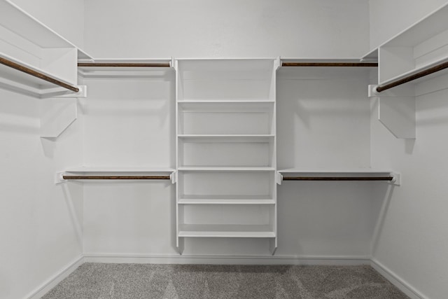 2227 W 3rd St, Odessa, TX 79763 - walk in closet featuring carpet flooring