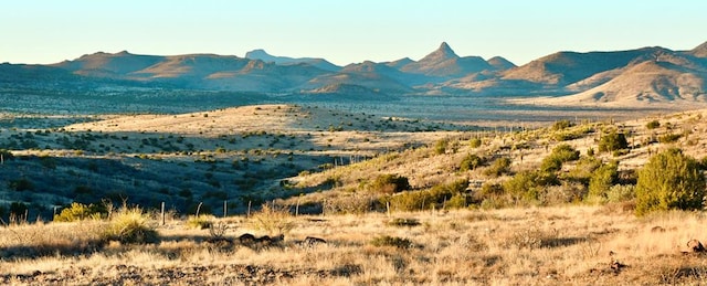 100 High Lonesome, Alpine TX, 79830 land for sale