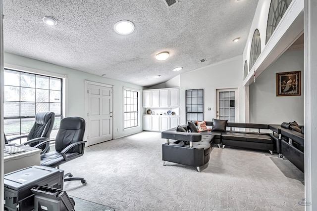 6415 San Mateo Ln, Odessa, TX 79762 - carpeted office space with a textured ceiling, healthy amount of natural light, vaulted ceiling, and recessed lighting