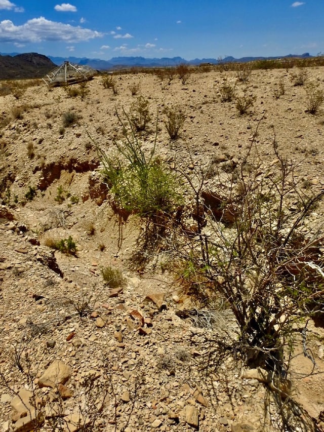 285 S County Rd, Terlingua, TX 79852 - photo 7