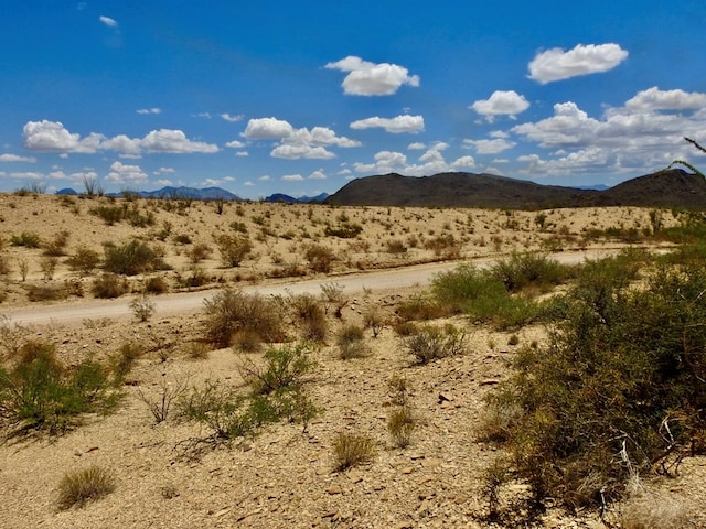 285 S County Rd, Terlingua, TX 79852 - photo 23