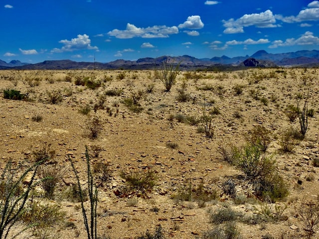 285 S County Rd, Terlingua, TX 79852 - photo 12