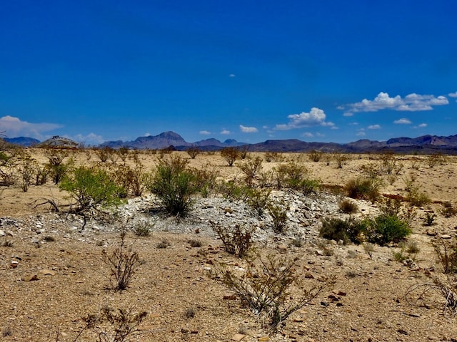 285 S County Rd, Terlingua, TX 79852 - photo 10