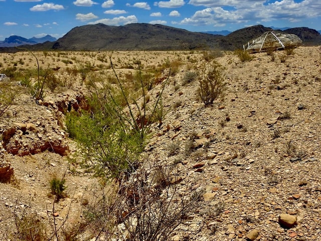 285 S County Rd, Terlingua, TX 79852 - photo 8