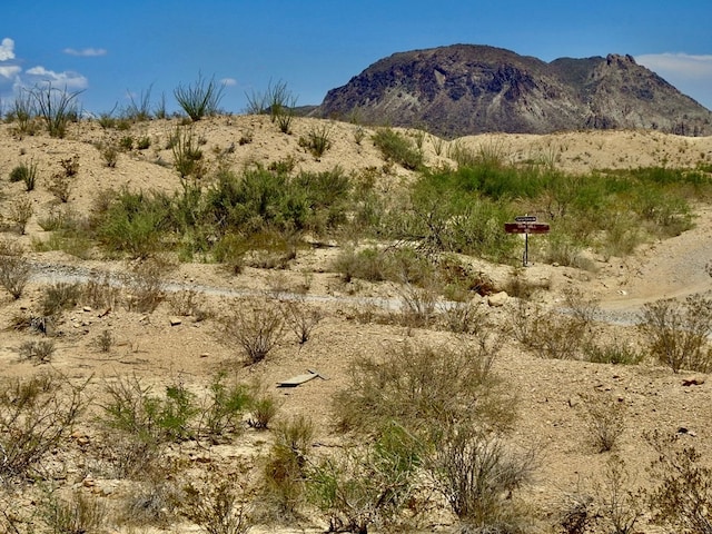 285 S County Rd, Terlingua, TX 79852 - photo 21