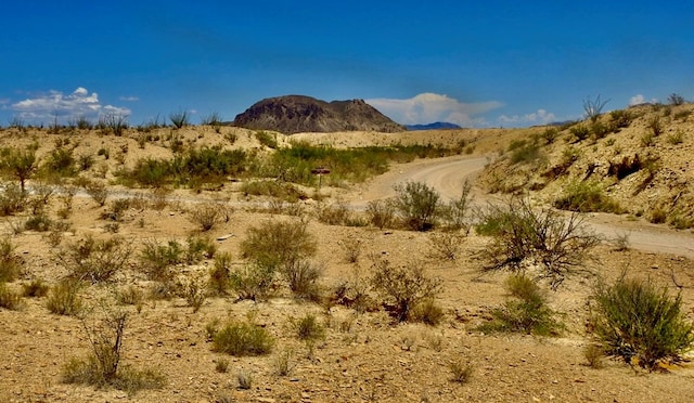285 S County Rd, Terlingua, TX 79852 - photo 20
