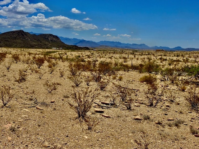 285 S County Rd, Terlingua, TX 79852 - photo 9