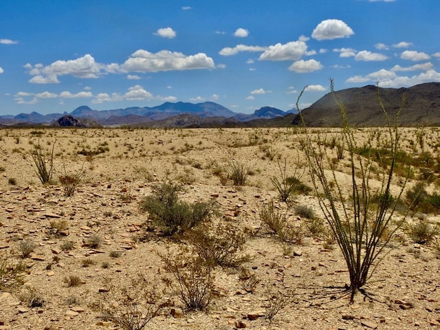 285 S County Rd, Terlingua, TX 79852 - photo 15