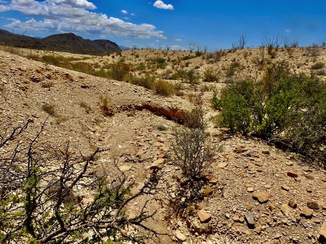 285 S County Rd, Terlingua, TX 79852 - photo 17