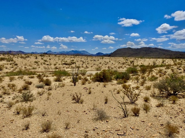285 S County Rd, Terlingua, TX 79852 - photo 18