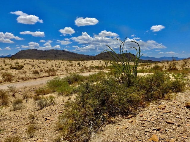 285 S County Rd, Terlingua, TX 79852 - photo 22