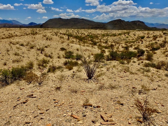 285 S County Rd, Terlingua, TX 79852 - photo 14