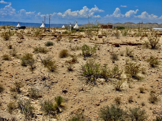 285 S County Rd, Terlingua, TX 79852 - photo 16