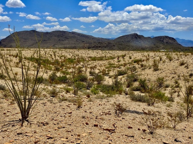 285 S County Rd, Terlingua, TX 79852 - photo 13