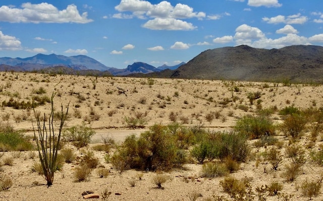 285 S County Rd, Terlingua, TX 79852 - photo 19