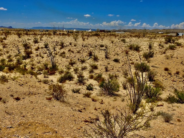 285 S County Rd, Terlingua, TX 79852 - photo 11