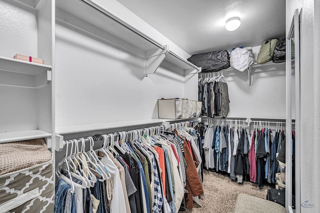 811 E 97th Ct, Odessa, TX 79765 - spacious closet with carpet