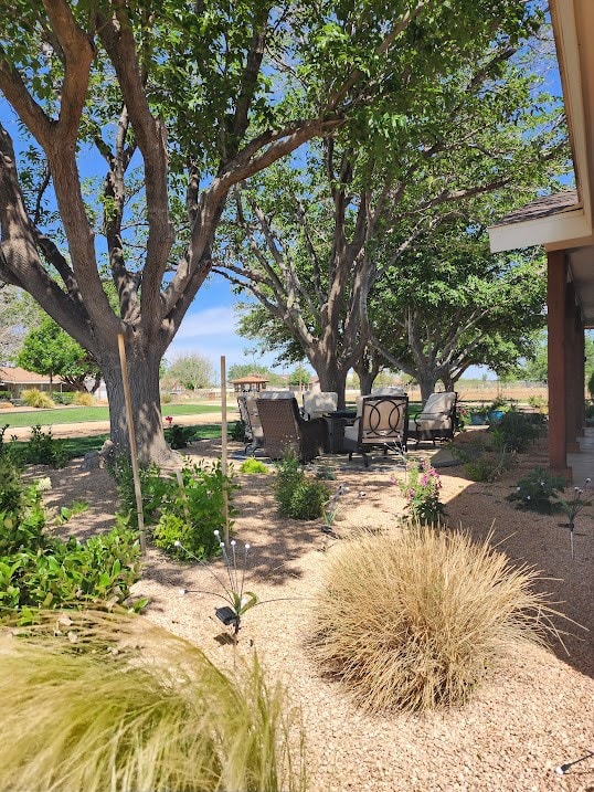 view of yard with a patio area and outdoor lounge area