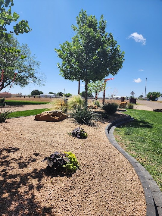 surrounding community featuring a yard