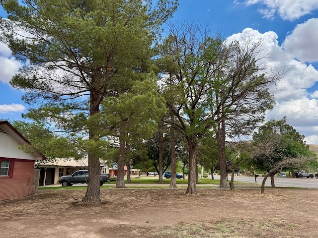 503 E Hendryx Ave, Alpine, TX 79830 - view of yard