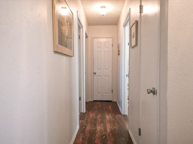 1847 Cody Pl, Odessa, TX 79762 - hallway featuring a textured ceiling and hardwood / wood-style flooring