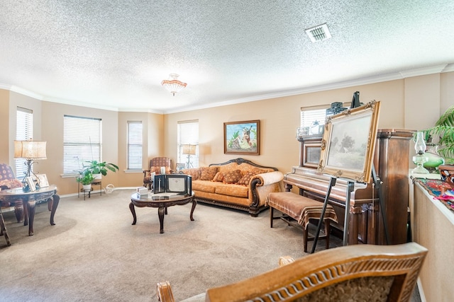 living room featuring a textured ceiling, light colored carpet, and ornamental molding