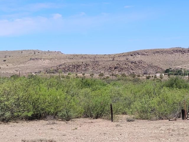 735 S Front St, Fort Davis, TX 79734 - view of mountain backdrop featuring rural landscape