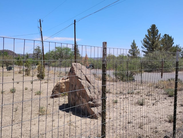 735 S Front St, Fort Davis, TX 79734 - view of yard