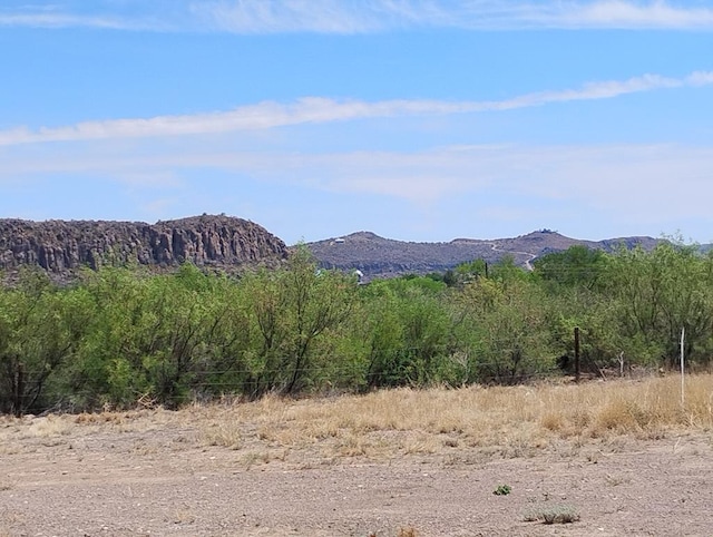 735 S Front St, Fort Davis, TX 79734 - view of mountain backdrop