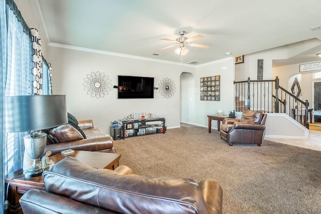 carpeted living room featuring ceiling fan, crown molding, and a wealth of natural light